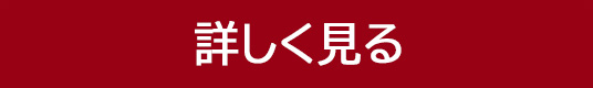 詳しく見る